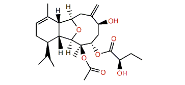 Cladielloide A